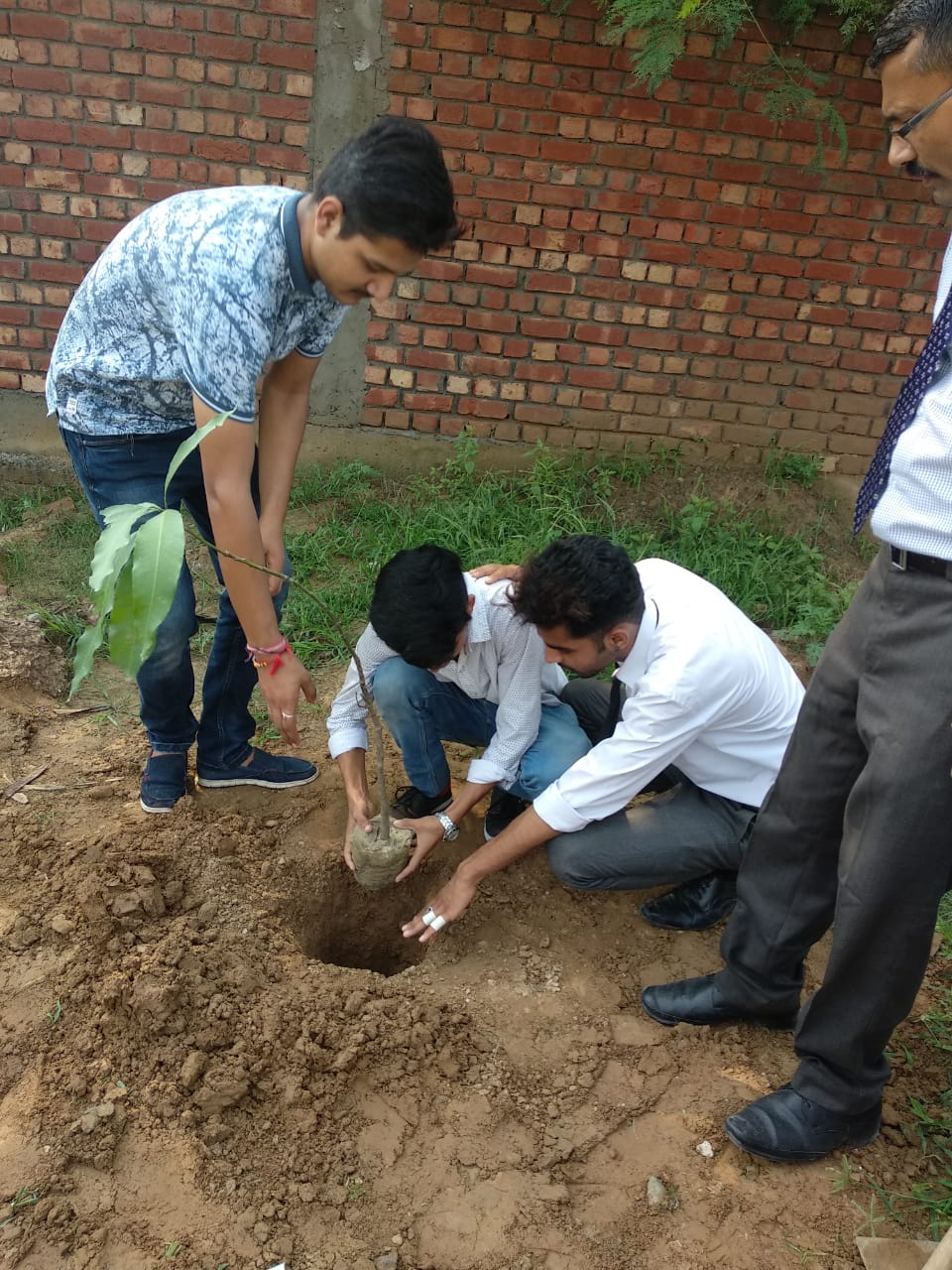 Tree Plantation in allied institute of hotel management