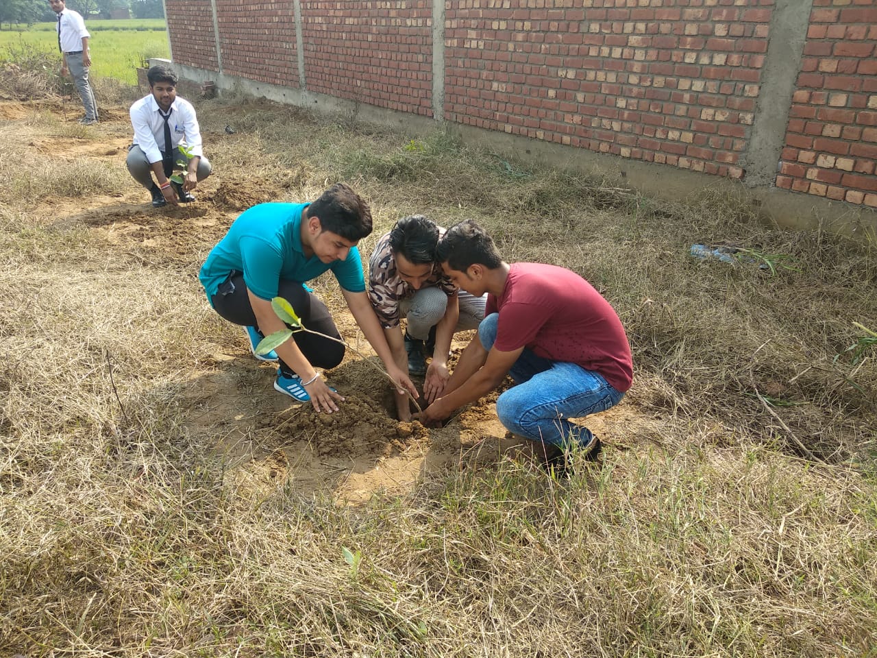 Tree Plantation in allied institute of hotel management
