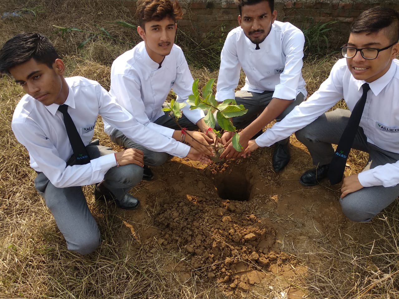 Tree Plantation in allied institute of hotel management