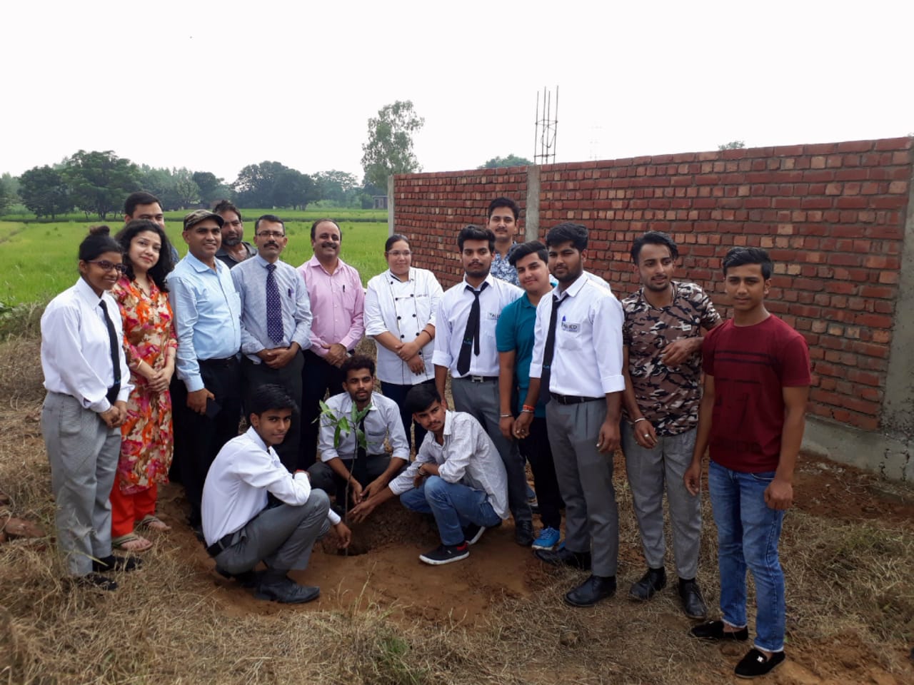 Tree Plantation