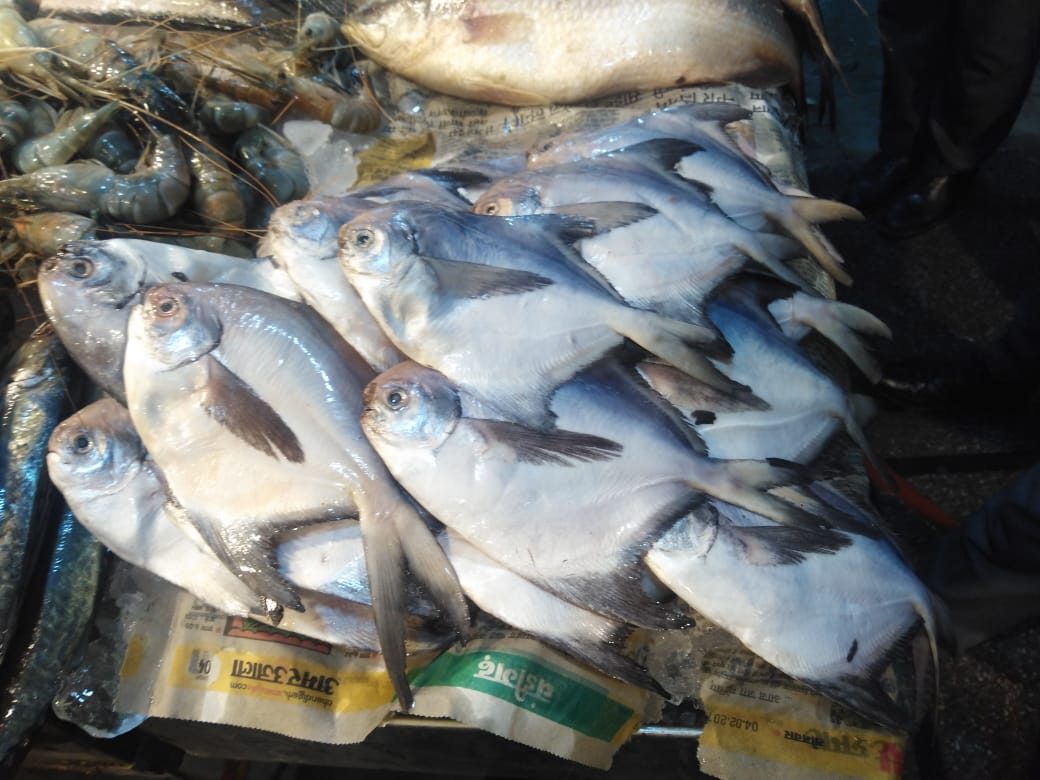 allied college student visits fish-market-Elante mall