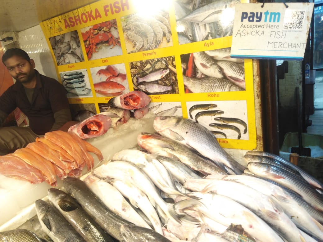 allied college student visits fish-market-Elante mall